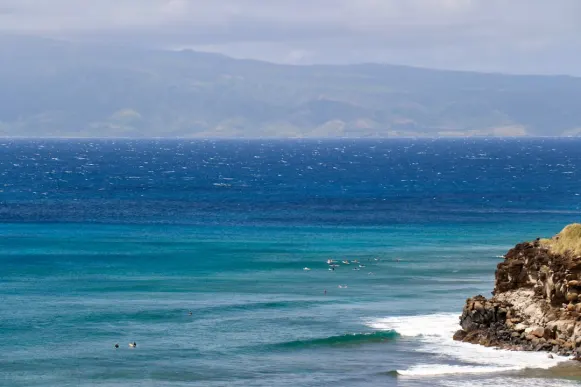 Casombie Kasyno Wsparcie